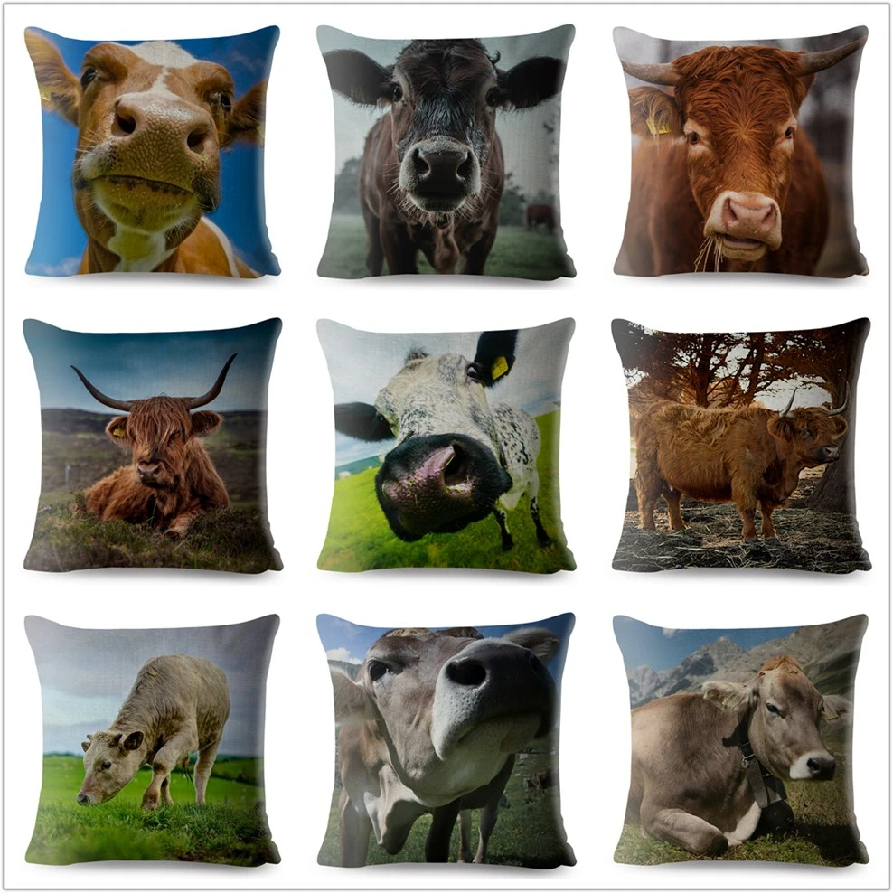 Cute Funny Cow And Bull Double Sided Print Cushion Cover 2 Sizes Sofa Square Pillows Cases Home Decor Throw Pillowcase 45X45cm images - 6