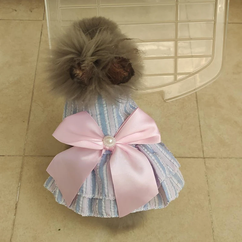 Cat Puppy Princess Dress 2
