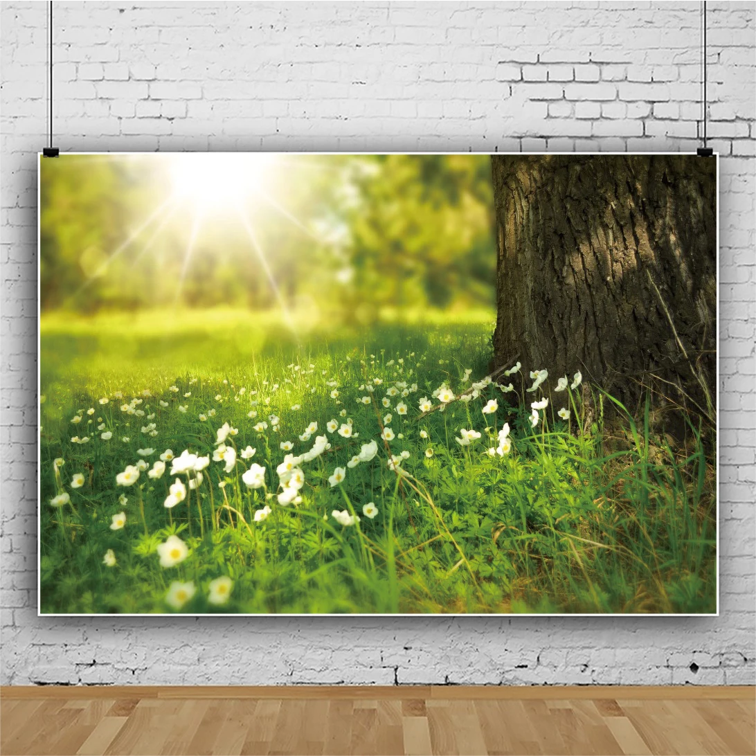 

ZHISUXI Natural Scenery Photography Background Flower Spring Landscape Travel Photo Backdrops Studio Props SZLY-18