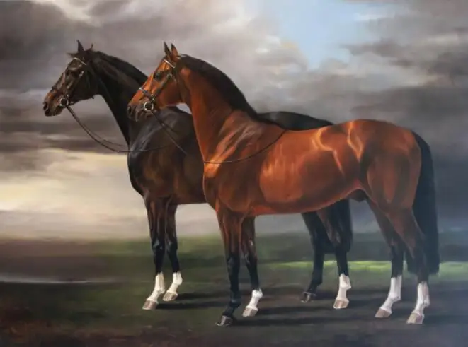 Картина на холсте Дикая лошадь картина для раскрашивания по номерам лошадь 40x50см арт 06630