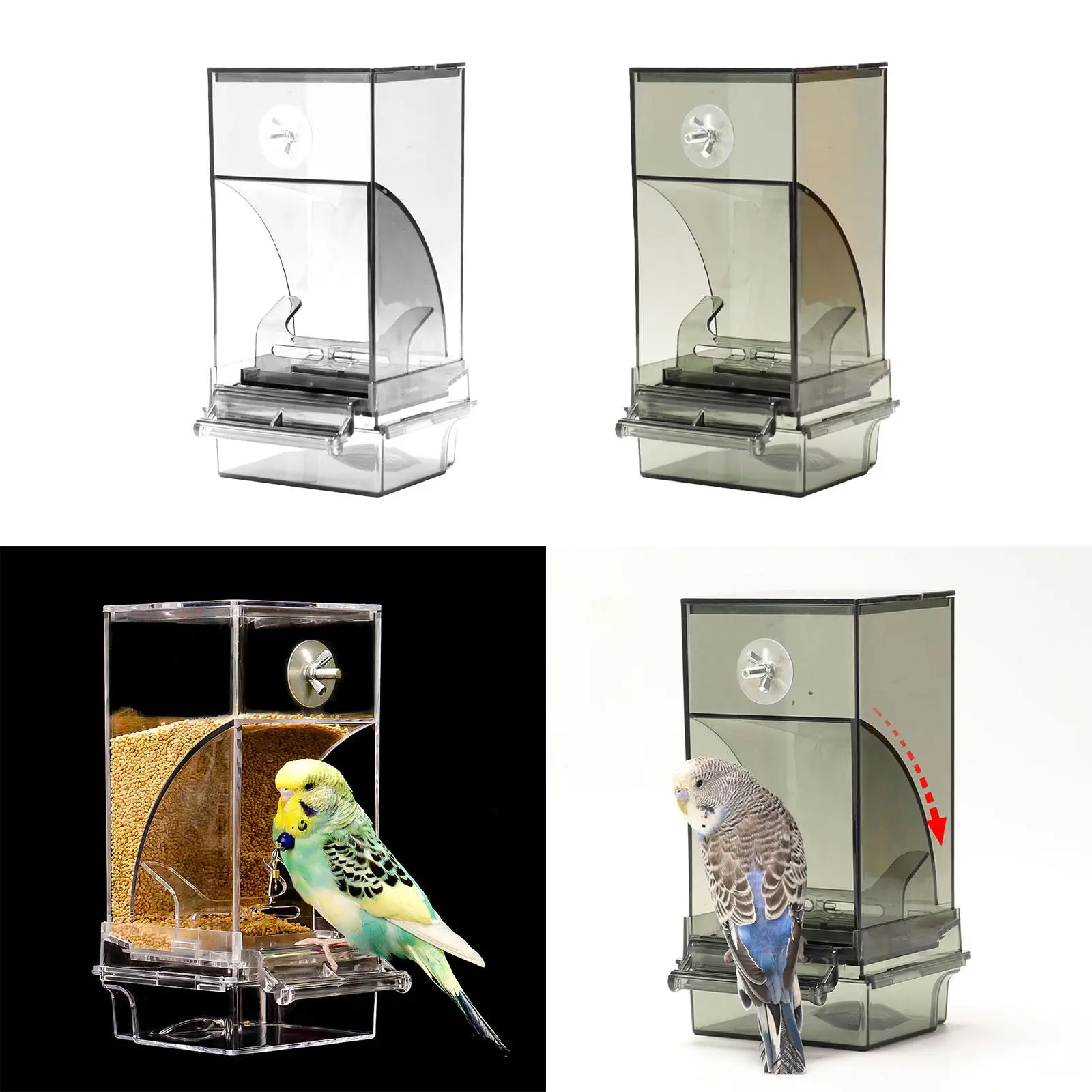 Automatic Feeder for Parrots with Perch And Clear Food Holder Budgerigar Finch