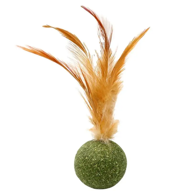 For Cats Dogs Pet Products