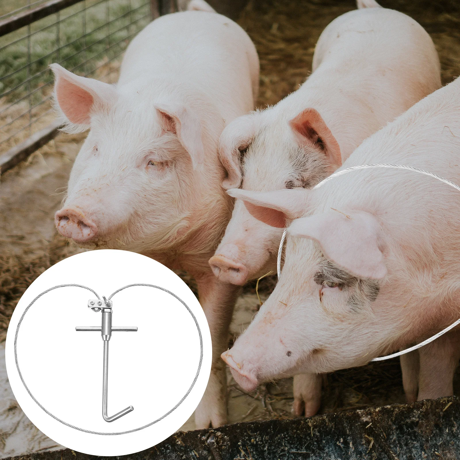 

Holder Catcher Stainless Steel Holder Snare for Cattle Sheep