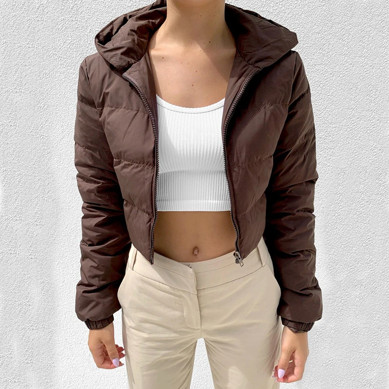 Street Fashion Bubble Coat Standard Collar Oversized Short Jacket Brown 2021 New Winter Autumn Female Puffer Jacket Parkas Mujer