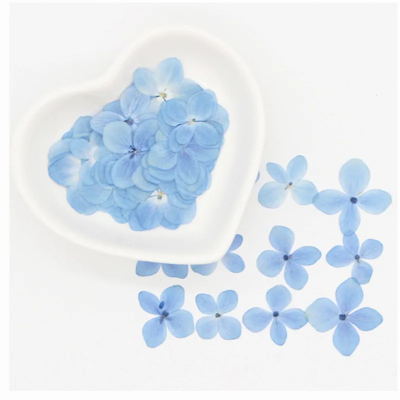 

60 шт. настоящие натуральные сушеные зеленые лепестки, маленькие синие гортензии, сухие розы для рукоделия, полимерные украшения, дизайн ног...