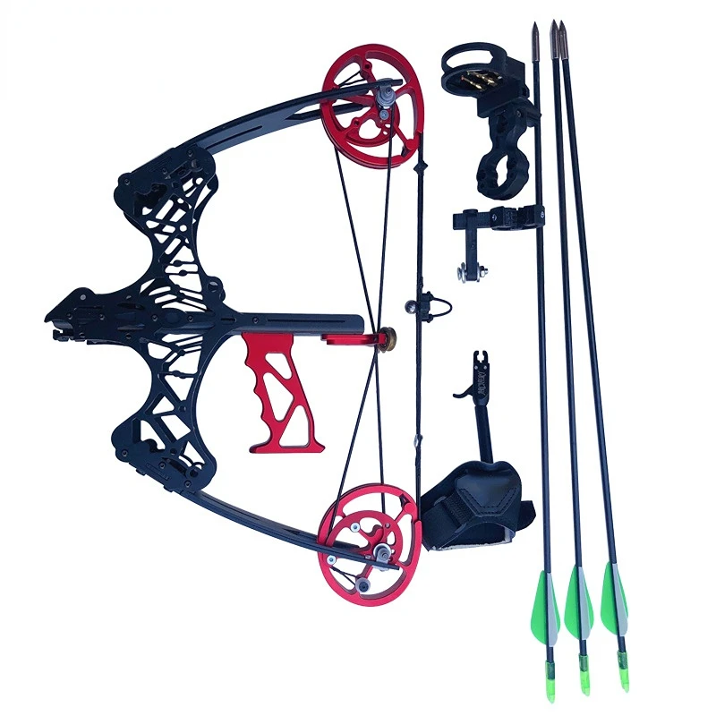 

40lbs American Hunting Bow Hunting Pulley Compound Bow Outdoor Hunting Archery Dual-Purpose Steel Ball Compound Bow Shooting