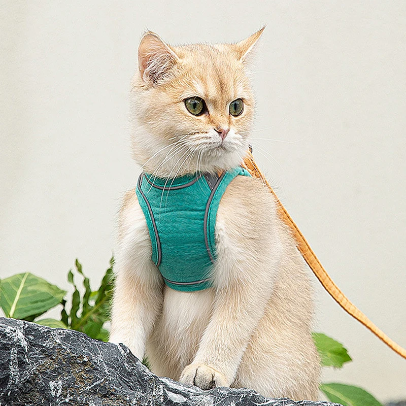 

Dog Cat Nocturnal Reflection Harness Leash Set Accessories Small And Medium Pet Vest Leashes Walking Tools Hauling Lead Product