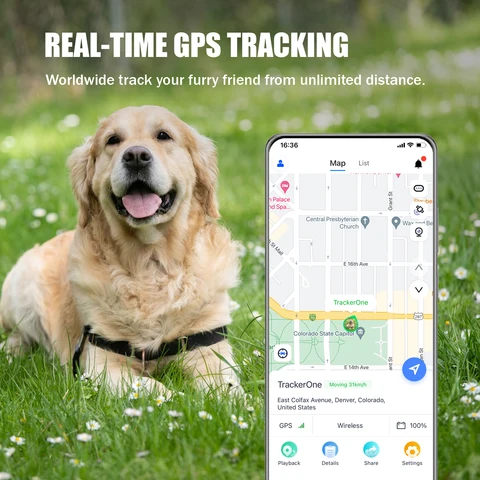 Водонепроницаемый локатор для домашних животных. Сигнализация ультра-защиты. Обеспечивает безопасность домашних животных, плата за низкую подписку.