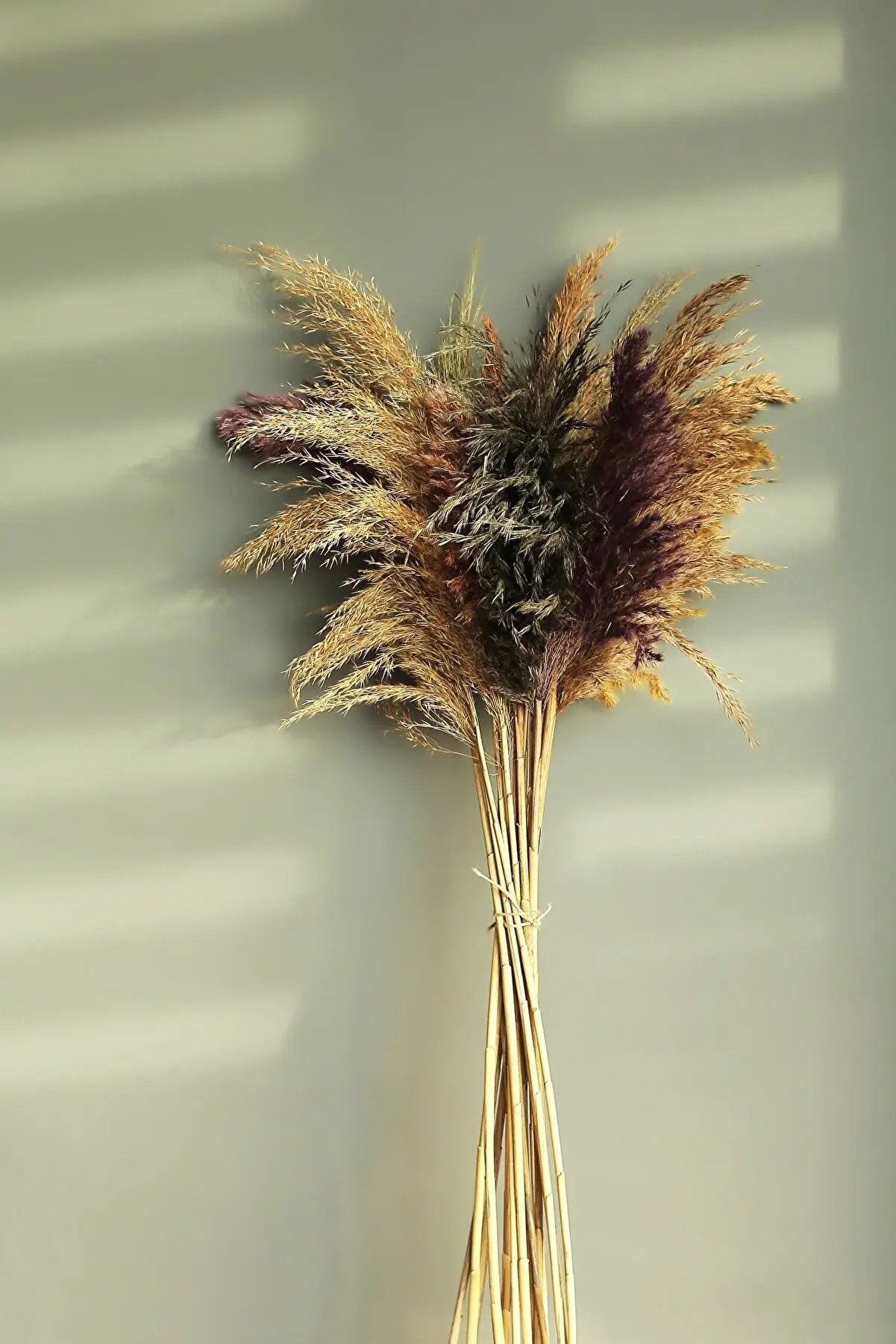 

Сухие пампасы, 15 шт., 100 см, разноцветные домашние свадебные украшения, искусственные цветы, сухие цветы