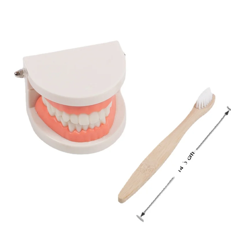 

Montessori Educational Toys for Children Early Learning Kids Intelligence Brushing Tooth Teaching Aids Simulated Practical Life