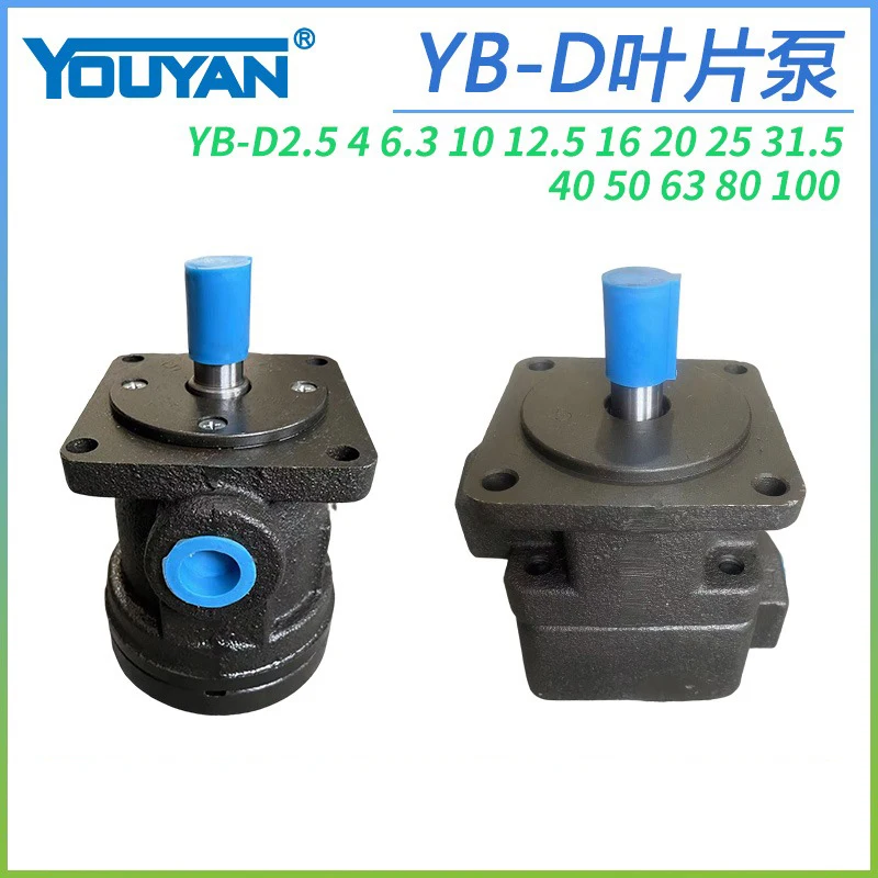 Фото YB-D6.3 Лопастной насос D4 D2.5D10 D12 D16 D20 D25 D32 D40 YBD50 63 80 100 №4