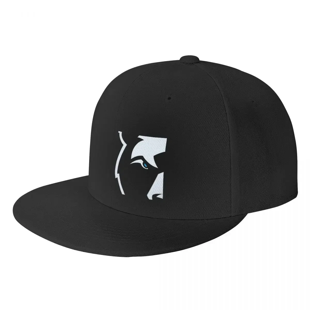 

Логотип «Бристоль медведи» | «вместе мы поднимаемся» | Классическая спортивная Подарочная бейсболка, Пушистая Шапка, мужская женская шапка
