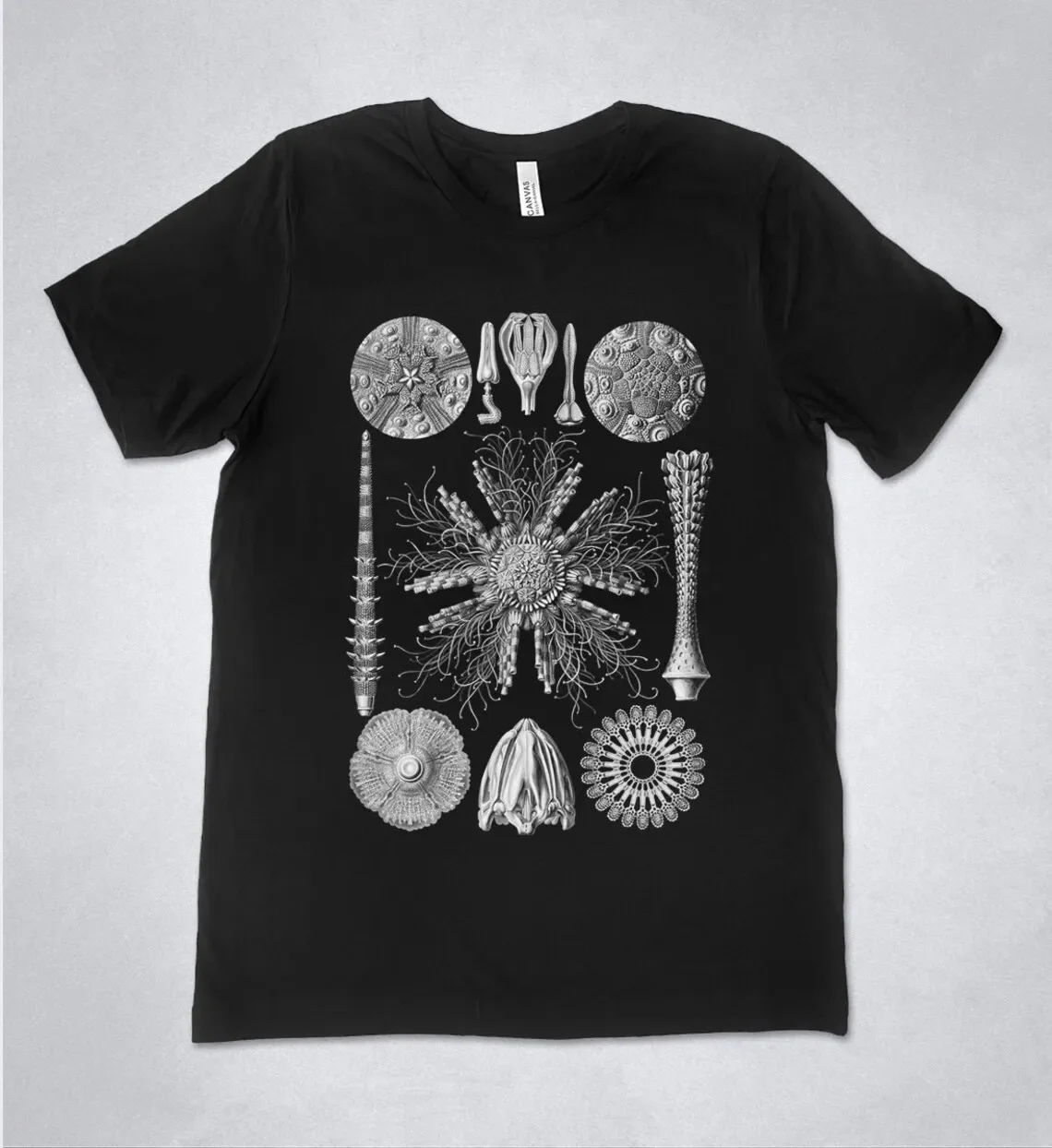Футболка Ernst Haeckel Echinoidea Art Forms Of Nature 1904 винтажная рубашка с принтом футболка