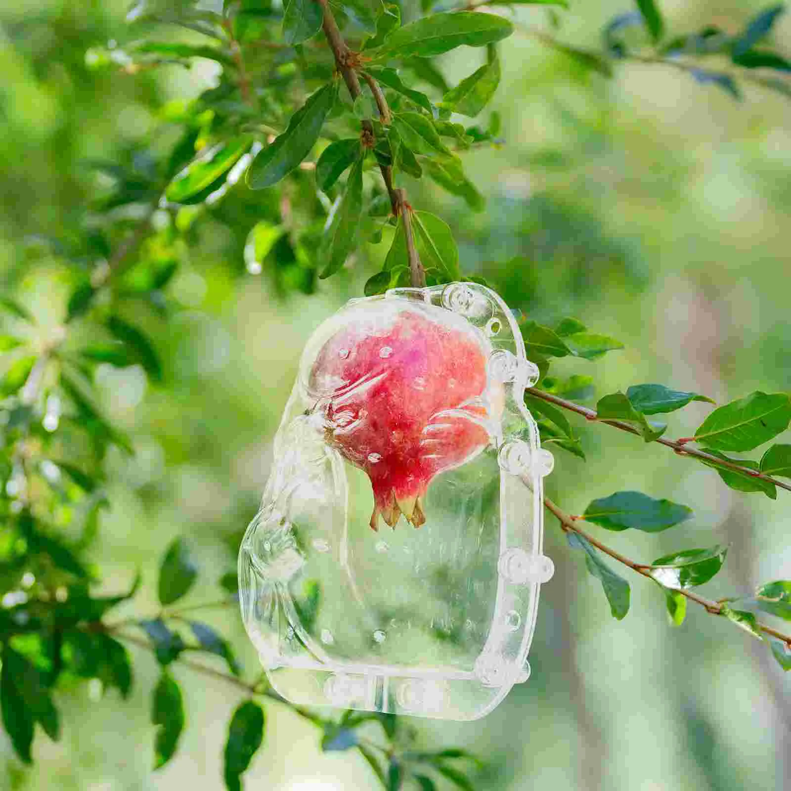 

Ginseng Fruit Molds Multi-function Convenient Fruits Vegetable Growing Multi-use