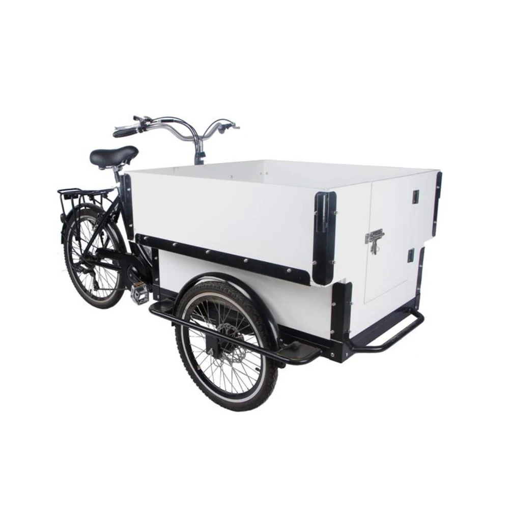 

Brushless (DAPU) E Cargo Tricycle Family Electric 3 Wheeler Bike Tourney 6/7 Speeds Tourism Leisure Child Seat Bike