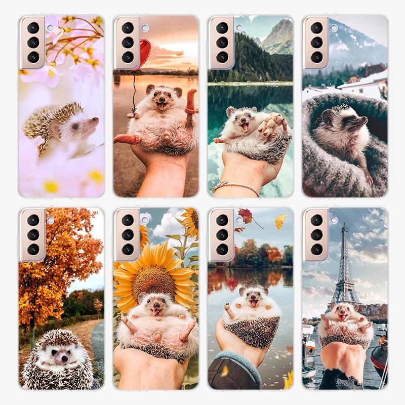 Милый чехол для телефона с изображением Ежика Samsung Galaxy S22 Pro S21 S20 FE Ultra S10 S10E Lite S9 S8 Plus