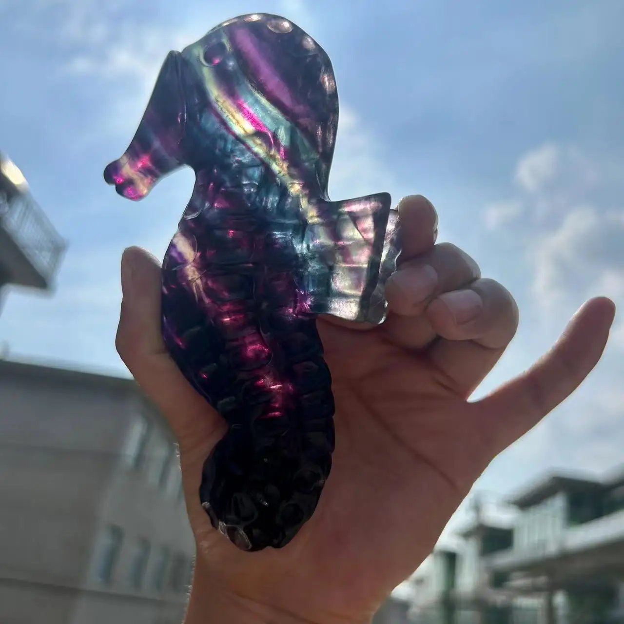 

Natural Crystal Carving Seven-Color Fluorite Animals Sea Horse Healing Rainbow Fluorite High Quality Raw Stone Mineral Quartz