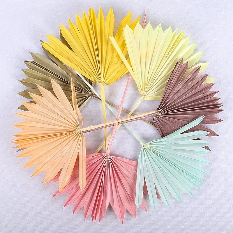 Натуральные сушеные цветы веер кошачий хвост растения Подсолнух Пальмовые