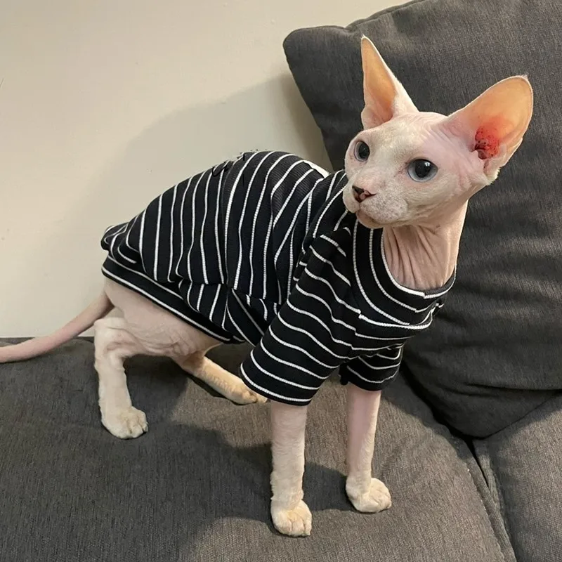 Summer Sphynix Cat Striped thin Cotton Vest Hairless Cat Clothes Devon Rex Comfort Coat For Outwear in Spring Pet supplies
