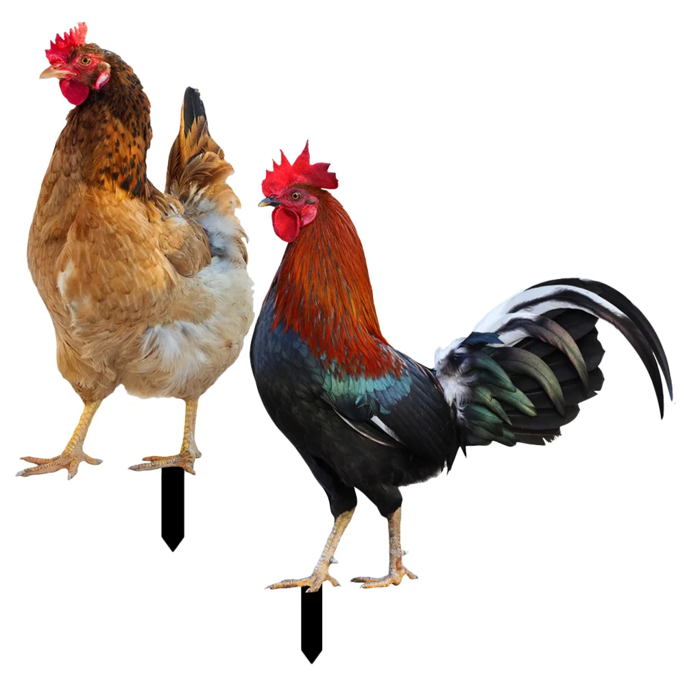 

2pcs Yards Acrylic Garden Stake Garden Hen Insert Lawn Ornament Garden Stake Garden Decoration Yard Decoration Hen Shaped Stake