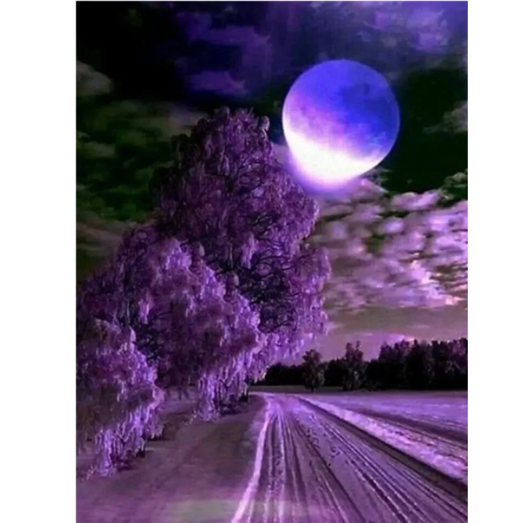 

2647-267.05 Cartoon digital oil painting moon night scene filling suitable for adults hand-painted suit handicraft design