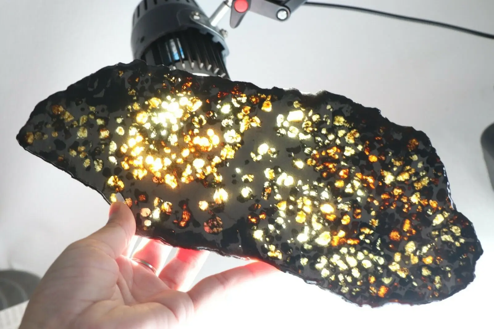 

293 г кусок метеорита редкий нарезанный Кенийский паллазит оливковый метеорит