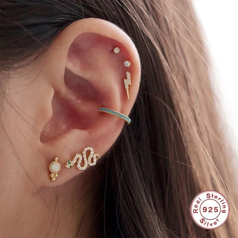 

S925 Silver Exquisite Zircon Simple Fashion Earrings Pierced Not Allergy Ladies Fashion Jewelry Trend Ins Same Earring Gift