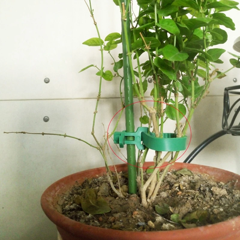 

X6HD Reusable Garden Plastic Plant Cable Tied Adjustable Tree Climbing Support Tool