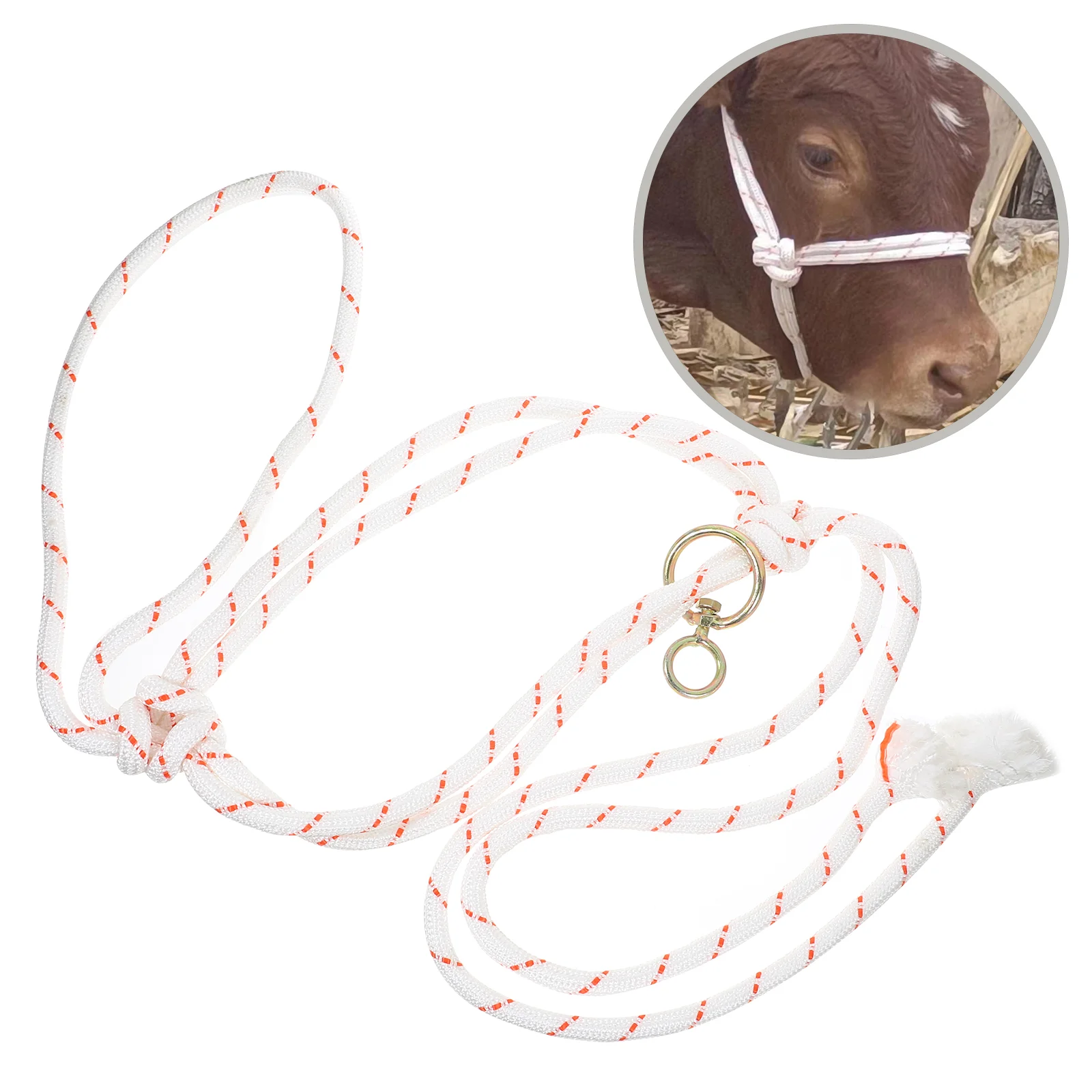 

Devices Traction Supplies Medium Bridles Cattle Metal Professional Halter Supply Safety