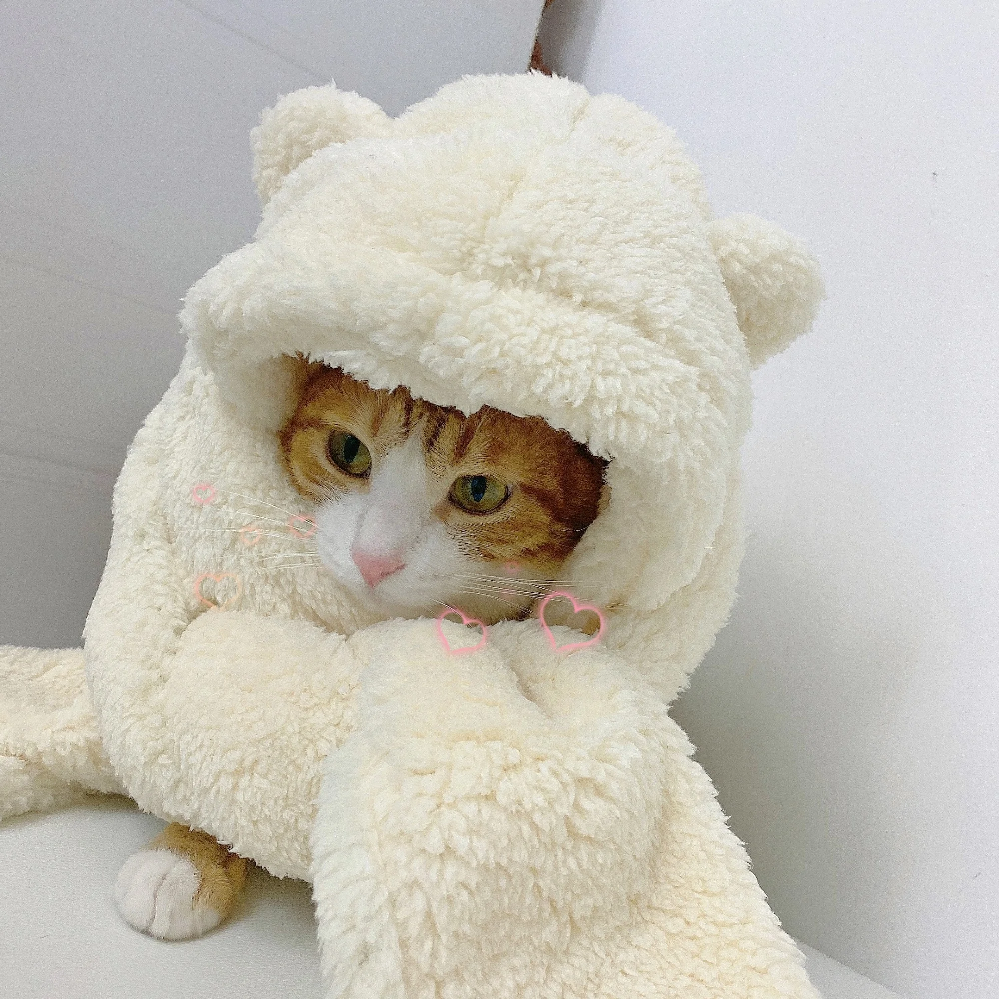 

Женский шарф с капюшоном kawaii bear зимняя теплая шапка