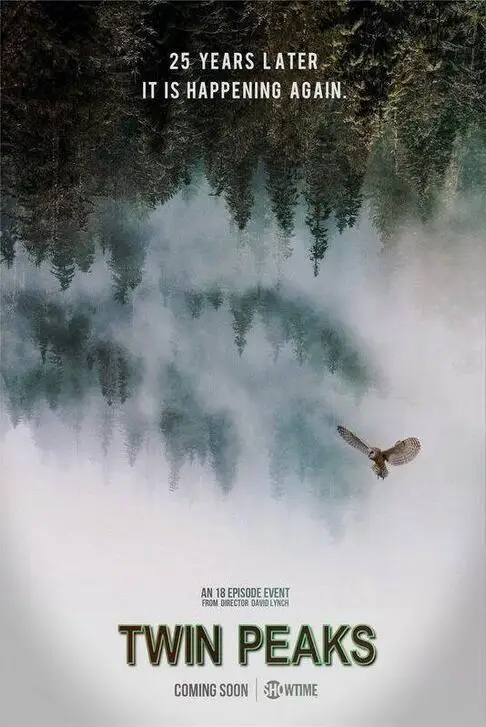 

Twin Peaks Movie Art Film Print Silk Poster Home Wall Decor 24x36inch