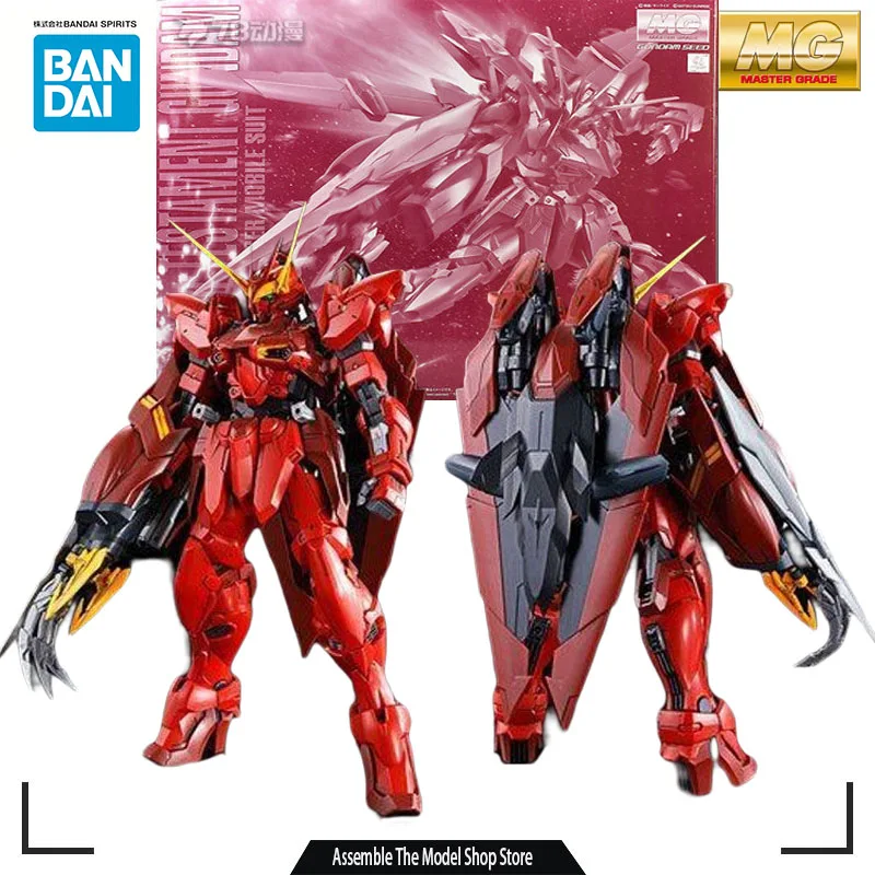 

Bandai Original Model Kit GUNDAM MG PB RGX-00 Testament Gundam 1/100 Anime Action Figure Assembly Model Toys Gifts for Boys