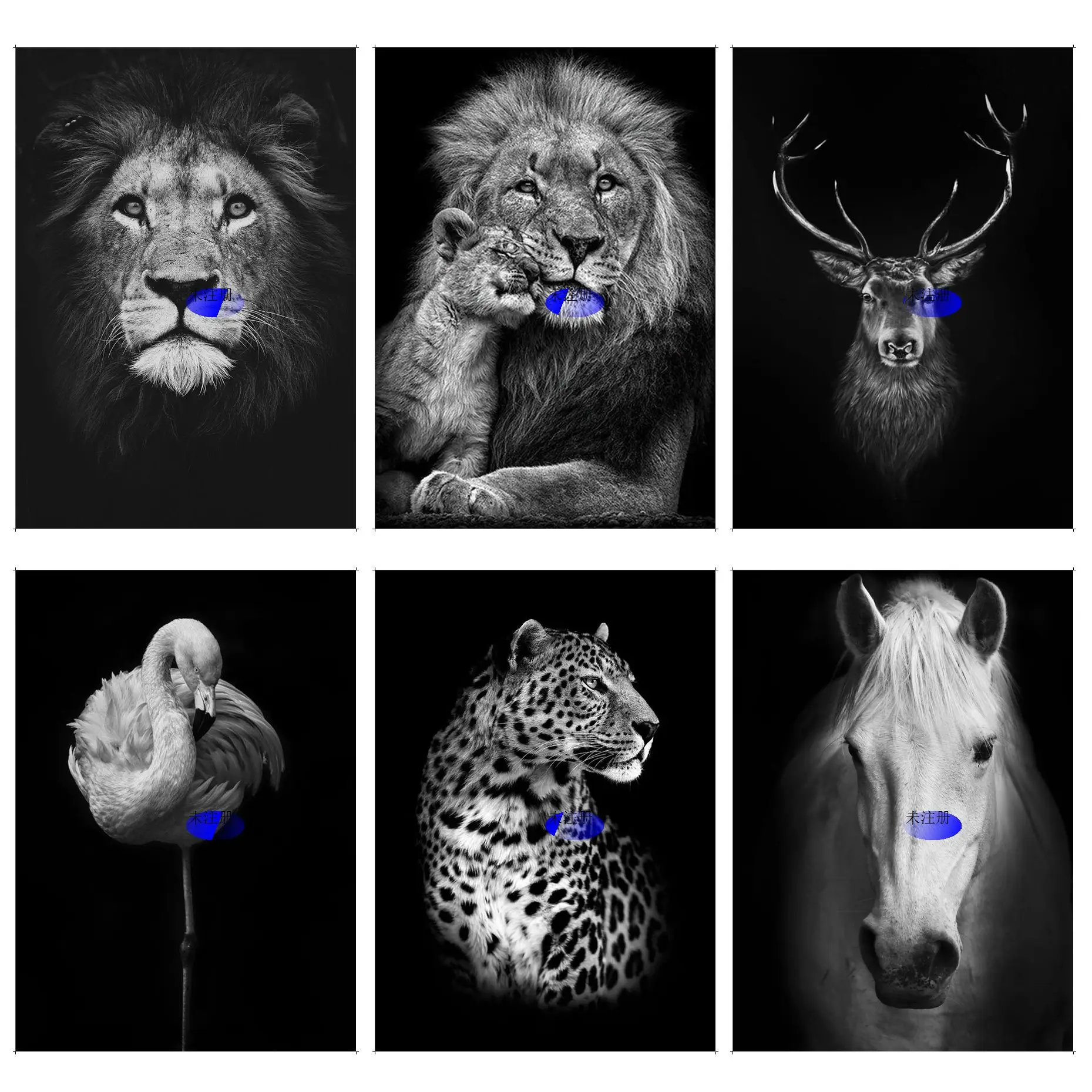 

Black and white animal Self-adhesive Art Poster Whitepaper Sticker DIY Room Bar Cafe Wall Decor