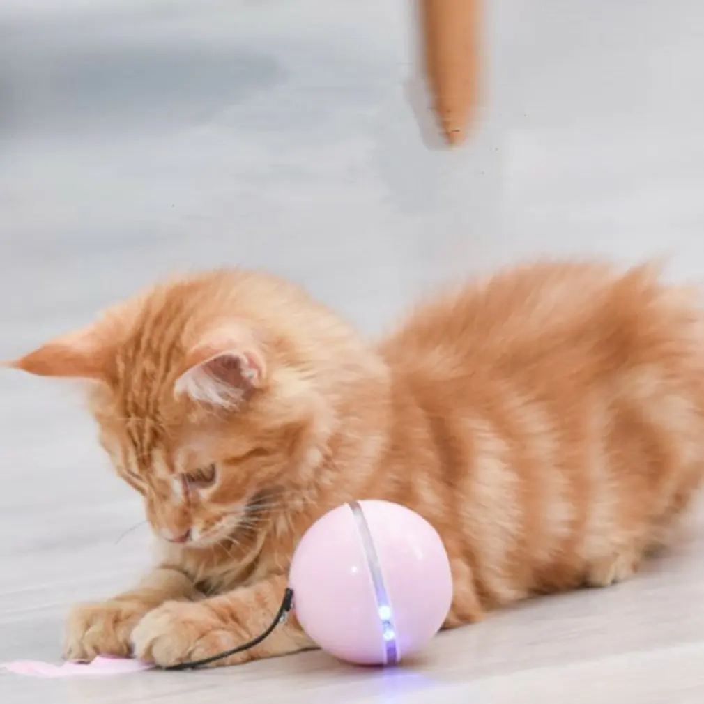 

Автоматический Забавный кошачий мяч для кошек и котят, Интерактивная игрушка С Кошачьей Мятой, зарядка через USB, цветные светодиодные фонар...