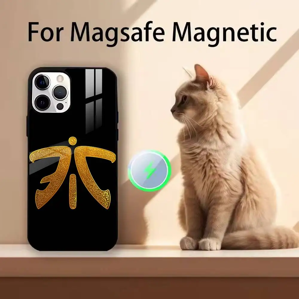 Чехол для телефона с принтом чемпиона мира f-fnc-Fnatic для iPhone 17, 16, 15, 14, 13, 12, 11, Pro, Max, Plus, SE4, с магнитной беспроводной зарядкой (art.: 3920dbacf24fa) - 3920dbacf24fa