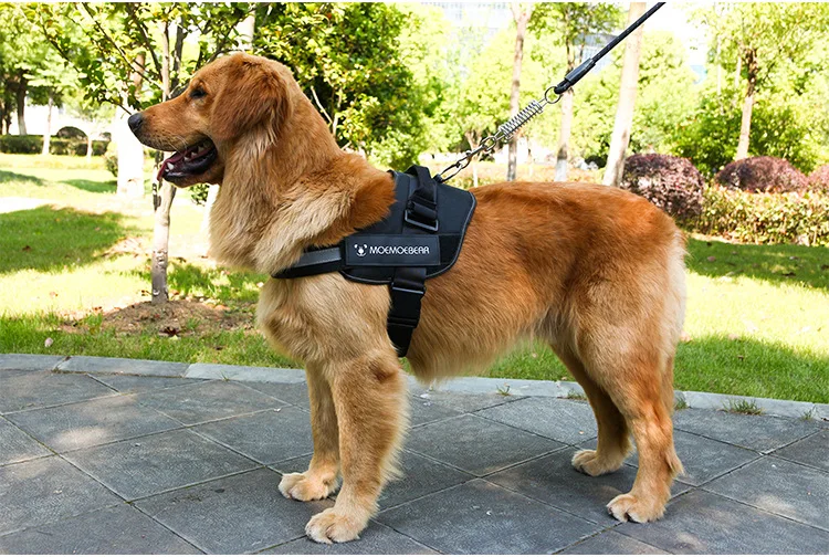 

Dog Accessories for Dogs Traction Chest Harness Medium and Large Reflective Chest Harness Dog Traction Rope Puppy Harness