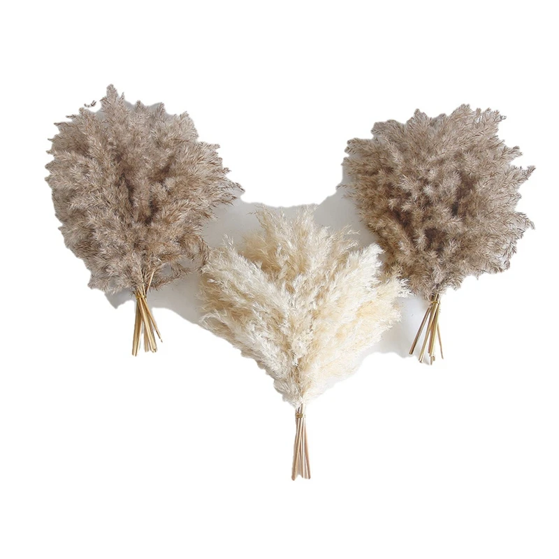 

30PCS Boho Decor Fluffy Pompas Grass Natural Dry Pampas Grass Small Pampass Bulk For Boho Room Decor