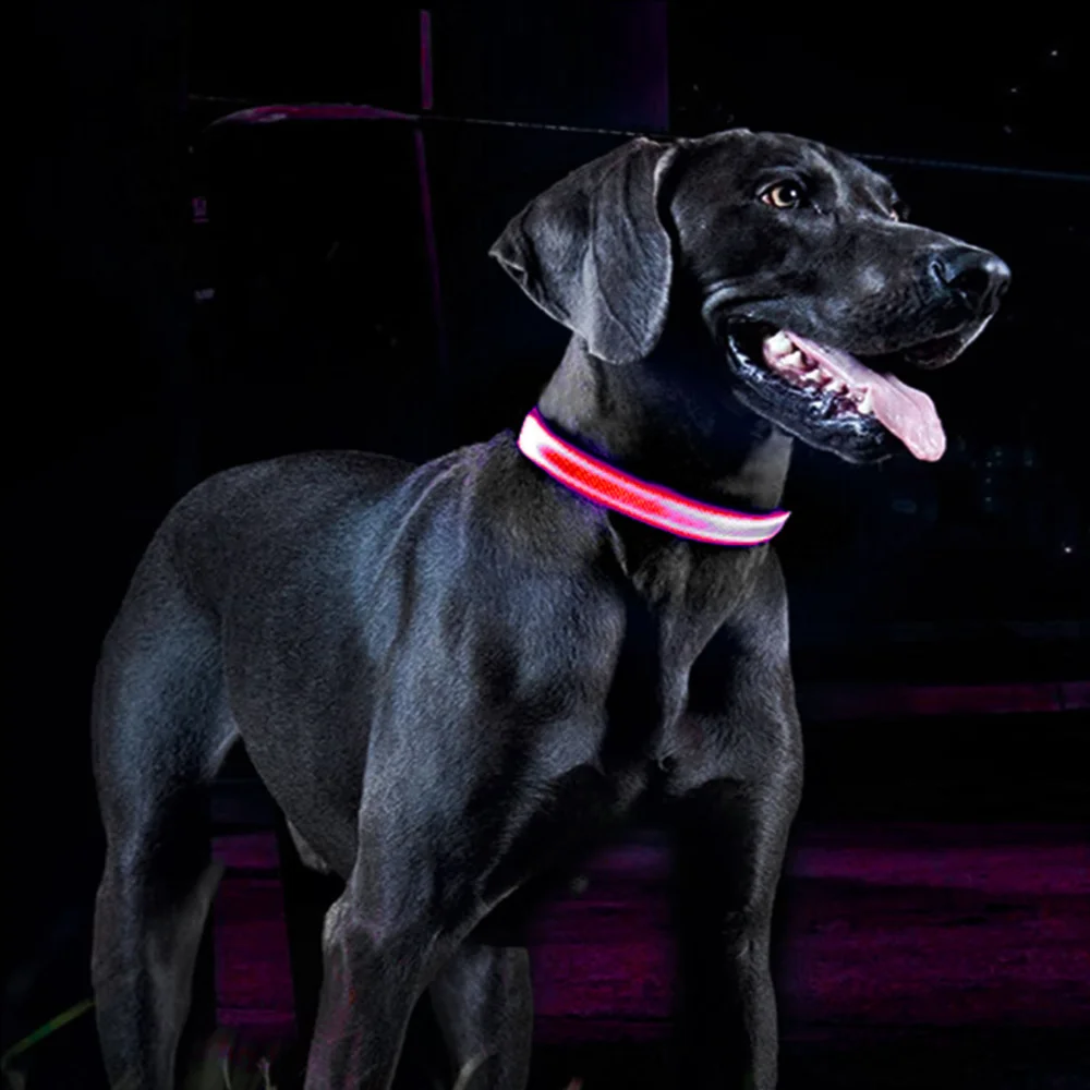 

LED Glowing Dog Collar USB Rechargeable Luminou Collar Adjustable Puppy Night Outdoor Safety Light Collars for Small Medium Pets