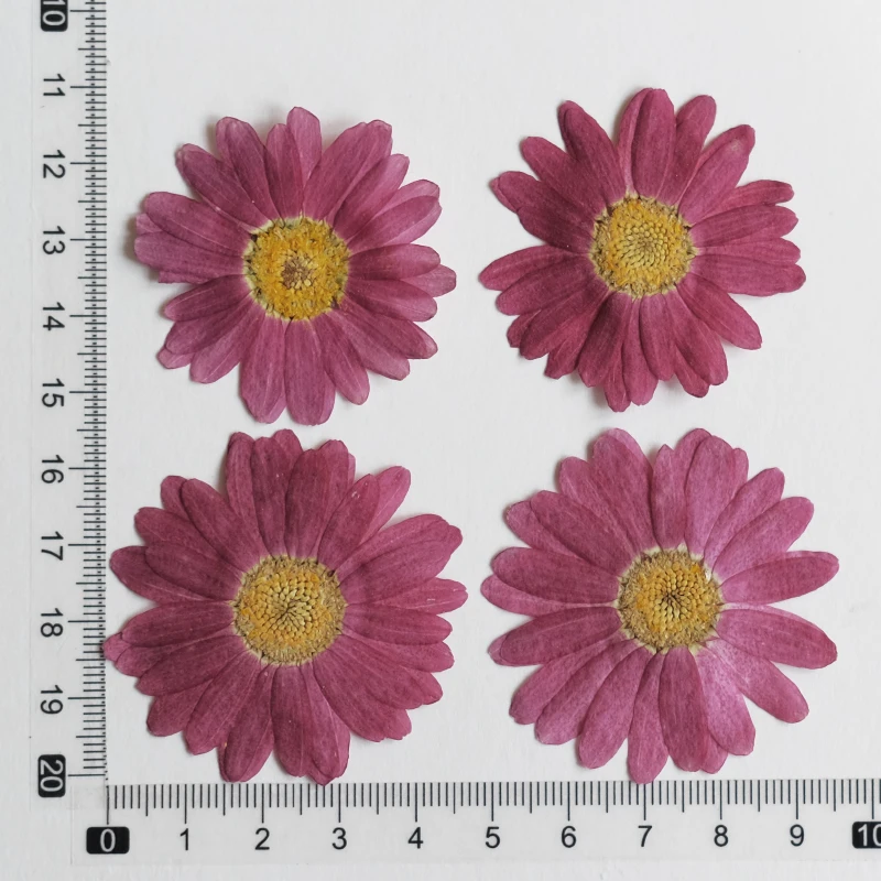 

Прессованные цветы NYAConfetti 24 шт.