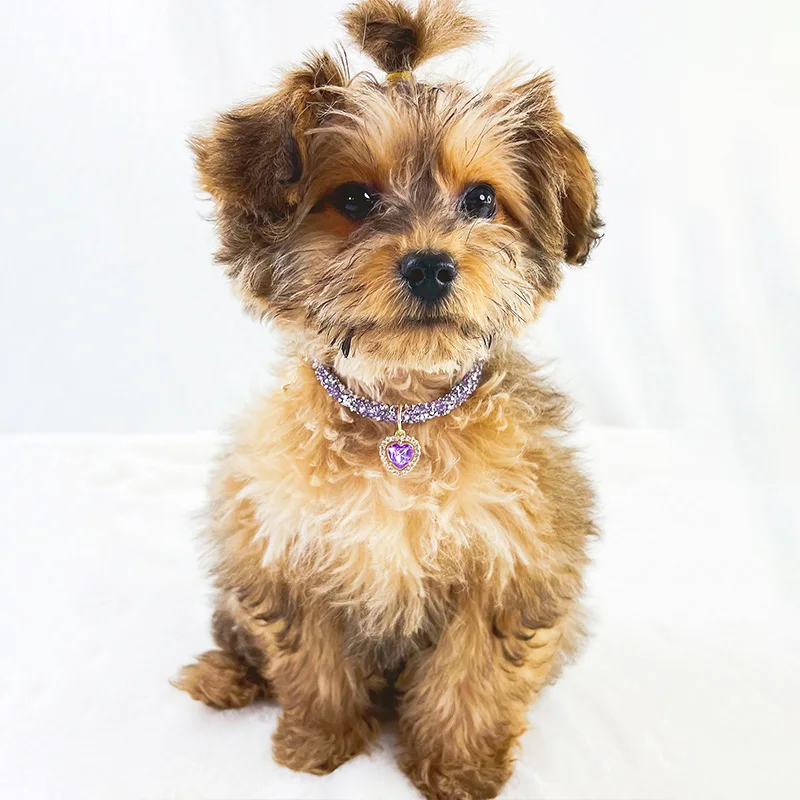 

1PC Luxury Pet Accessories Luxury Pendant Crystal Collar Heart Gem Rhinestone Necklace Adjustable