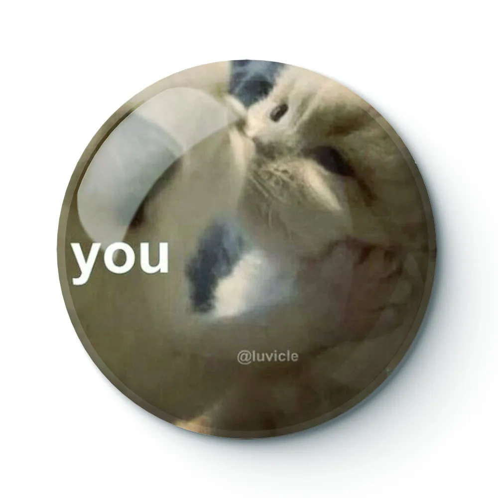 

Кошка мем 002 пуговицы броши булавка ювелирный аксессуар индивидуальная брошь модные значки на лацкан