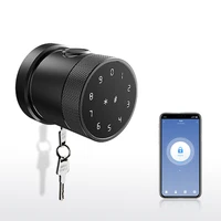 custom wireless digital electronic fingerprint wifi door lock smart life app