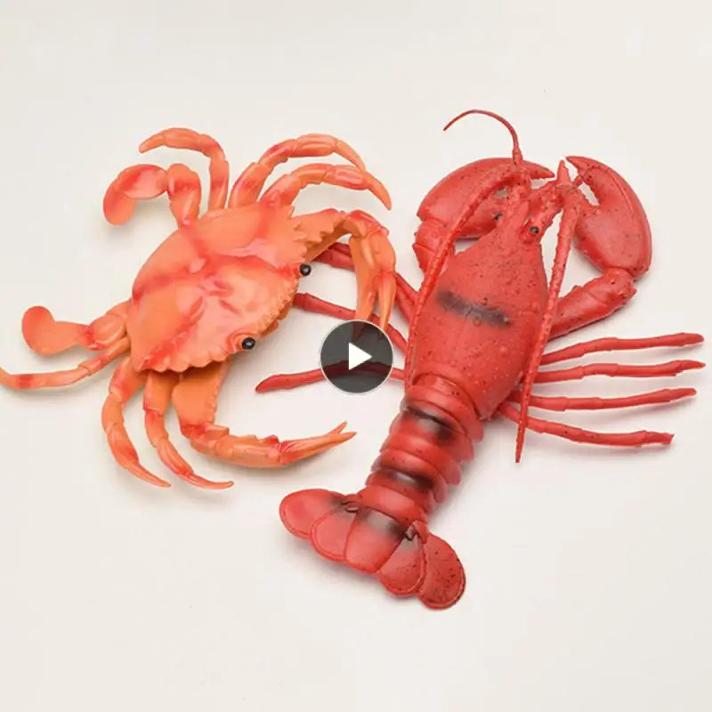 

17x20cm Pinch Called Toys 4-6 Years Old Education Cognitive Simulation Model Creative Scene Props Children Toy Soft Rubber Crab