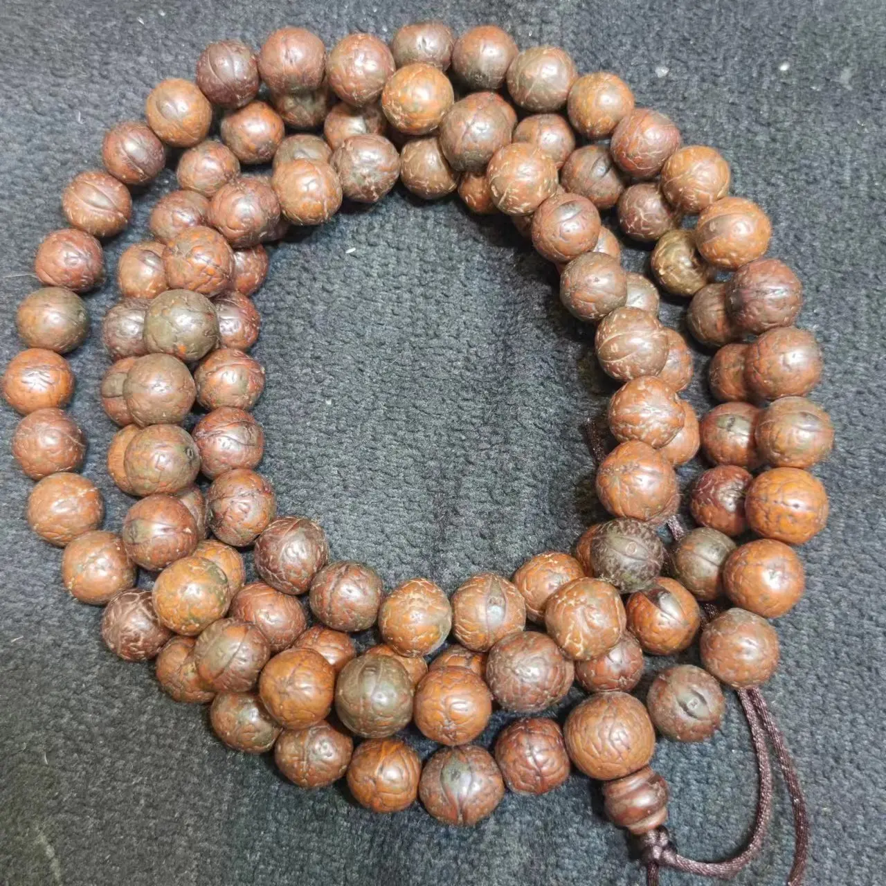 

Натуральные семена Бодхи 108 штук ECHSUN