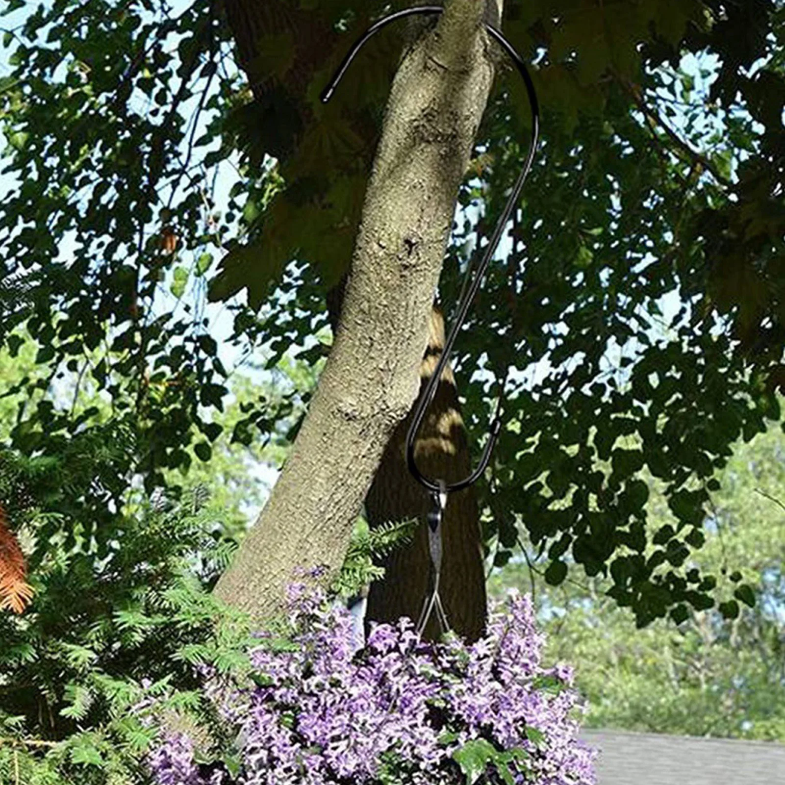 

3Pcs Bird Feeder Hook S-Shaped Metal Hook Heavy-Grade Anti-Rust Iron Can Withstand Corrosion Hook Stake For Birdhouse Bird