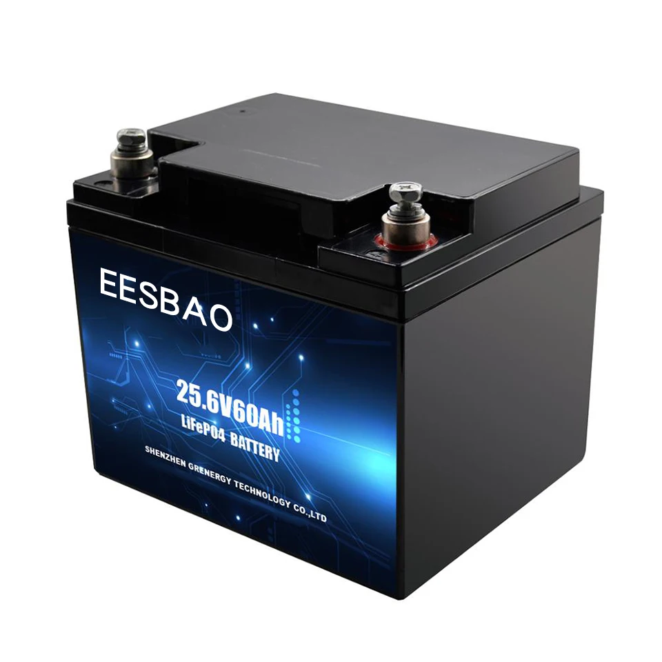 

60Ah 24V lifepo4 battery packs with cylindrical cell 32650 6000mAh 25.6V 8S10P BMS built inside eesbao