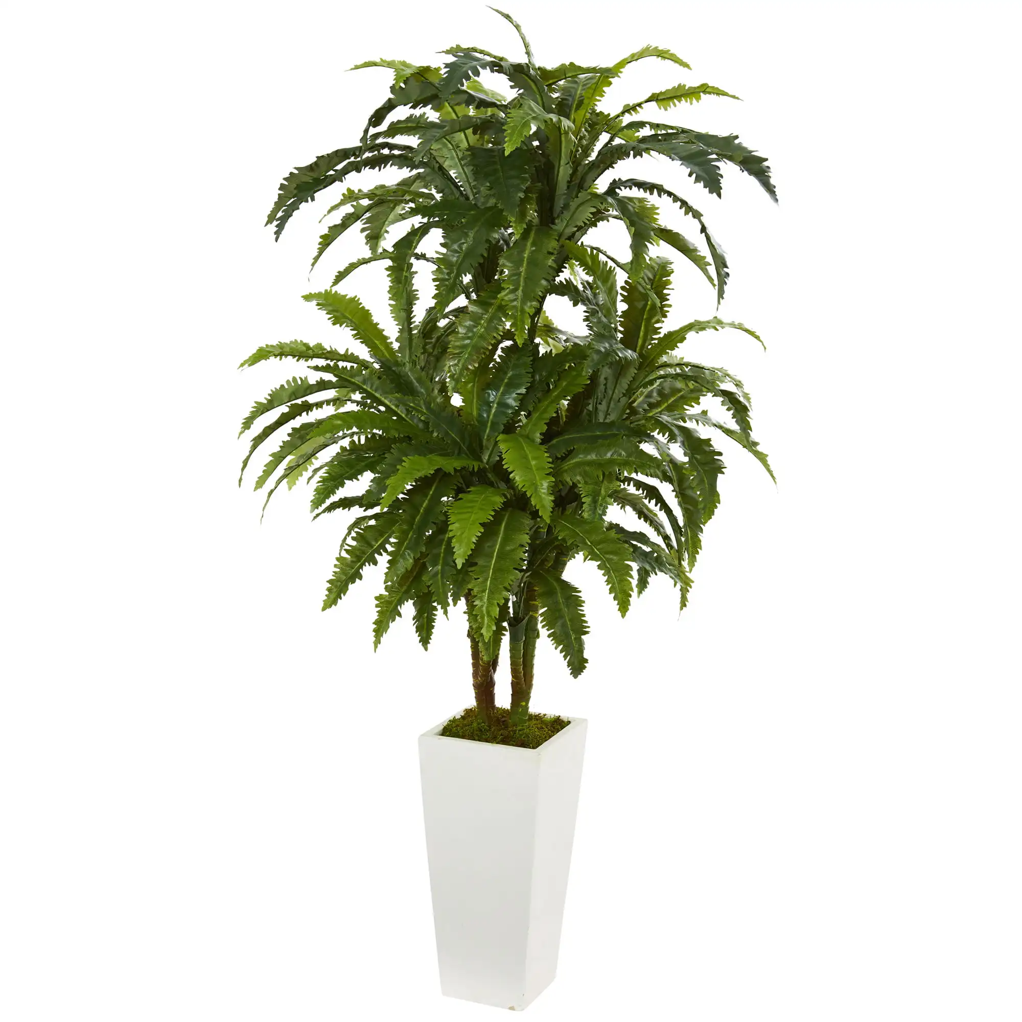 

Free shipping Plastic 50" Marginatum Artificial Plant in White Tower Vase Green