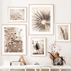 Пампасная трава тростник цветок Одуванчик Бохо настенная Картина на холсте скандинавские постеры и принты настенные картины для декора гостиной
