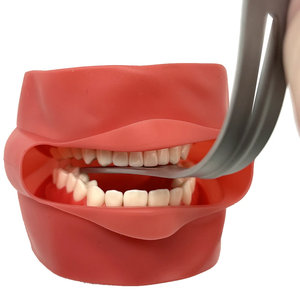 Стоматологический открывалка для рта из нержавеющей стали стоматологический