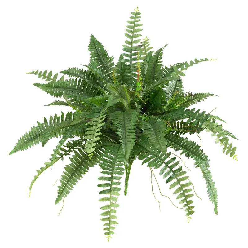 

. Original: Plastic/Polyester Boston Fern Artificial Plant (Set of 2), Green Revised: 2 Set of Vibrant Green Plastic/Polyester A
